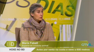 Entrevista María Sabell